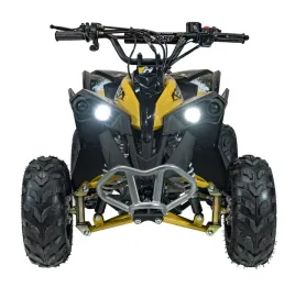 pojazd-quad-spalinowy-renegade-hiperfect-110cc-zolty