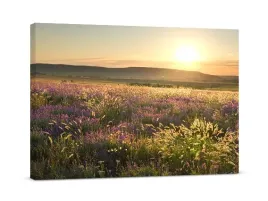 obraz-na-plotnie-panorama-laki-laka-60x40-cm