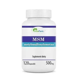 msm-kapsulki-500mg-120szt