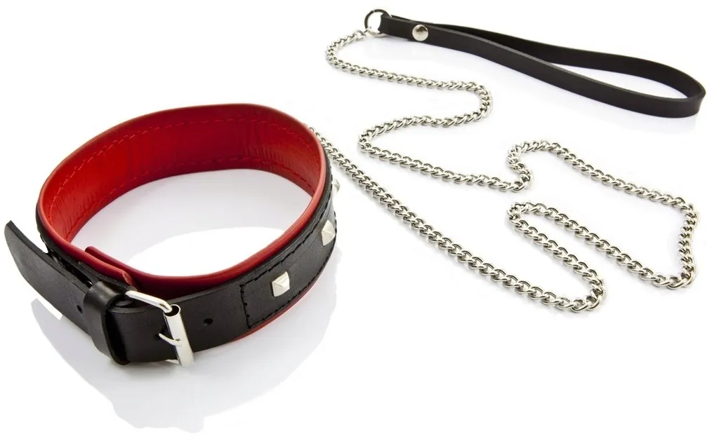 obroza-bdsm-erotic-dreams