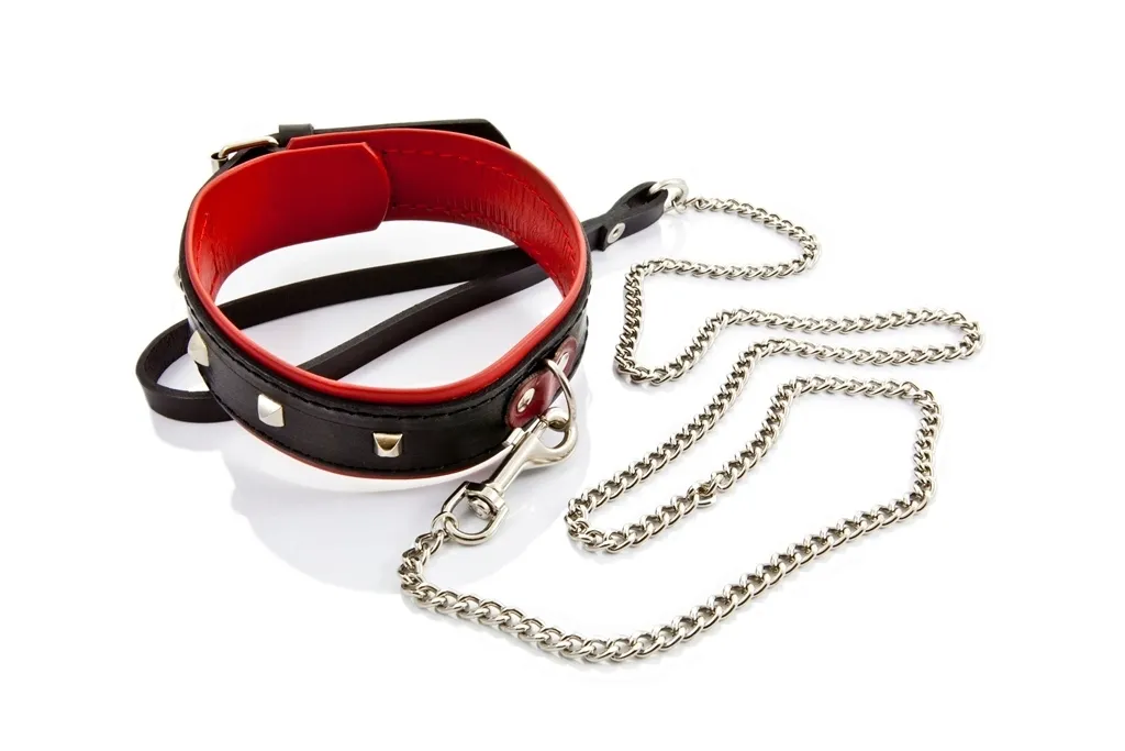 obroza-bdsm-erotic-dreams