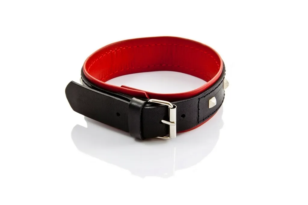 obroza-bdsm-erotic-dreams