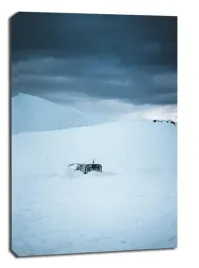 gruzja-kaukaz-iii-obraz-na-plotnie-40x60-cm