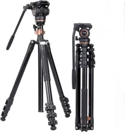 statyw-fotograficzny-tripod-cayer-af2451-glowica-h8-plytka-lekki-dslr-pro