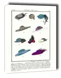 accessories-charles-martin-obraz-na-plotnie-30x40-cm