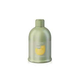 szampon-dyscyplinujacy-alter-ego-silk-oil-300-ml-przeciw-puszeniu