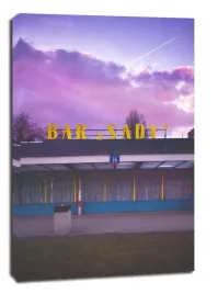 s-a-d-y-obraz-na-plotnie-40x60-cm