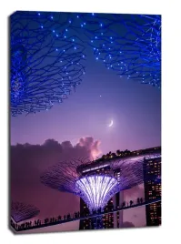 singapur-ksiezyc-obraz-na-plotnie-60x80-cm