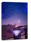 singapur-ksiezyc-obraz-na-plotnie-70x100-cm
