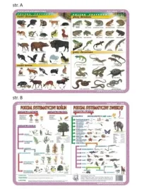 podkladka-edu-019-ssaki-plazy-i-gady