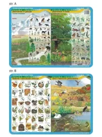 podkladka-edu-020-pietrowosc-w-gorach-i-lesie