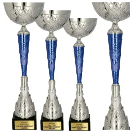 idealny-komplet-srebrno-niebieskich-pucharow-3-szt-32-30-28-cm-grawerki