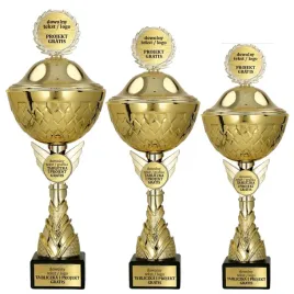 komplet-zlotych-pucharow-z-pokrywka-3-szt-35-32-30-cm-grawerki-gratis