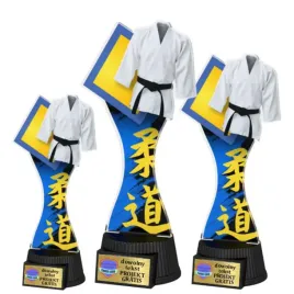 3szt-komplet-statuetek-z-pleksi-nadruk-kolor-25-23-19-cm-karate-grawerki