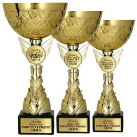 komplet-zlotych-artystycznych-pucharow-3-szt-22-20-18-cm-grawerki-gratis