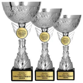 komplet-eleganckich-srebrnych-pucharow-3-szt-22-20-18-cm-grawerki-gratis