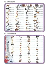 podkladka-edu-04-animals-jezyk-angielski