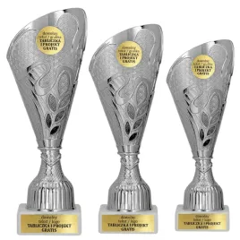 blyszczacy-komplet-srebrnych-pucharkow-3-szt-22-21-19-cm-grawerki