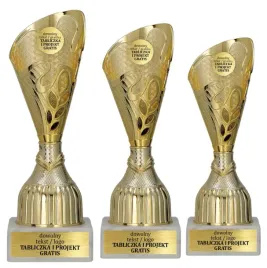 na-kazda-okazje-komplet-zlotych-pucharkow-3-szt-22-21-19-cm-grawerki