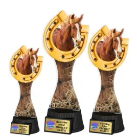 3szt-komplet-statuetek-z-pleksi-nadruk-kolor-25-23-19cm-jezdziectwo