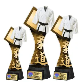 3szt-komplet-statuetek-z-akrylu-nadruk-kolor-w-sepii-25-23-19-cm-karate