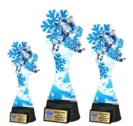 komplet-statuetek-akrylowych-nadruk-kolor-25-23-19cm-hokej-personalizacja