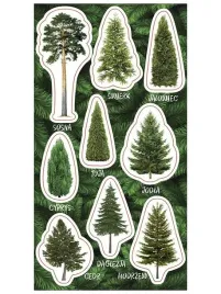 naklejki-drzewa-iglaste