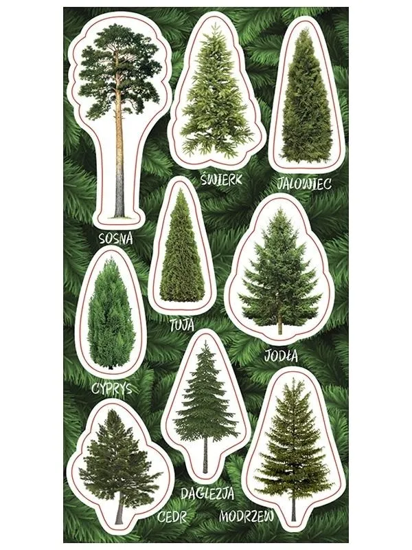 Grafika w opisie produktu