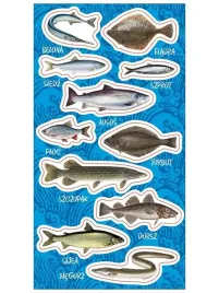 naklejki-ryby-baltyckie