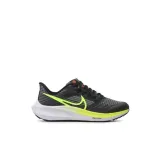 air-zoom-pegasus