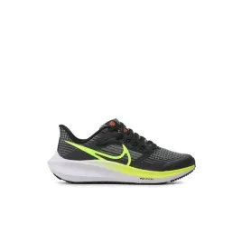 air-zoom-pegasus