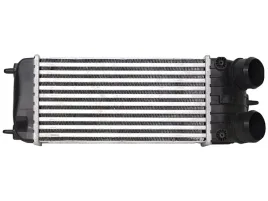 intercooler-citroen-c3-ii-picasso-ds3-1-6l