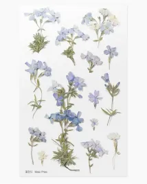 naklejki-ozdobne-kwiaty-floks