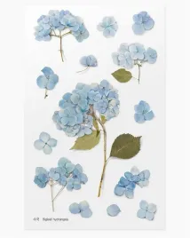 naklejki-ozdobne-kwiaty-hortensja