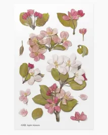 naklejki-ozdobne-kwiaty-jablon