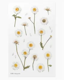 naklejki-ozdobne-kwiaty-margaretki