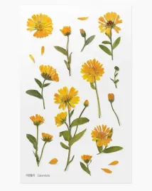 naklejki-ozdobne-kwiaty-nagietek