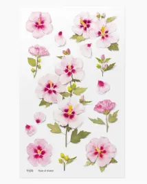 naklejki-ozdobne-kwiaty-roza-sharon