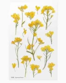 naklejki-ozdobne-kwiaty-rzepak