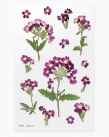 naklejki-ozdobne-kwiaty-werbena