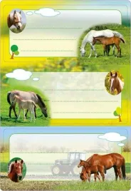 naklejki-szkolne-konie-6szt