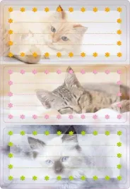 naklejki-szkolne-kotki-6szt