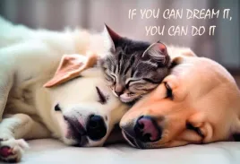 mata-mala-dwustronna-z-nadrukiem-frendship