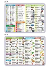 podkladka-edu-039-numbers-time-calendar