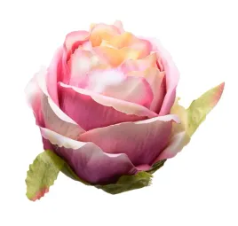 roza-glowka-krem-roz