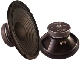 glosnik-fonics-10-cali-hw-1000-8ohm