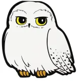 harry-potter-notes-hedwiga