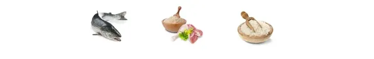 josera-kitten-2-kg-sucha-karma-dla-kociat-ciezarnych-i-karmiacych-kotek-karmy-specjalne-dla-kotek-w-okresie-ciazy-i-laktacji
