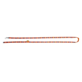 smycz-dla-malych-psow-i-kotow-america-10-x-130-cm-mexico