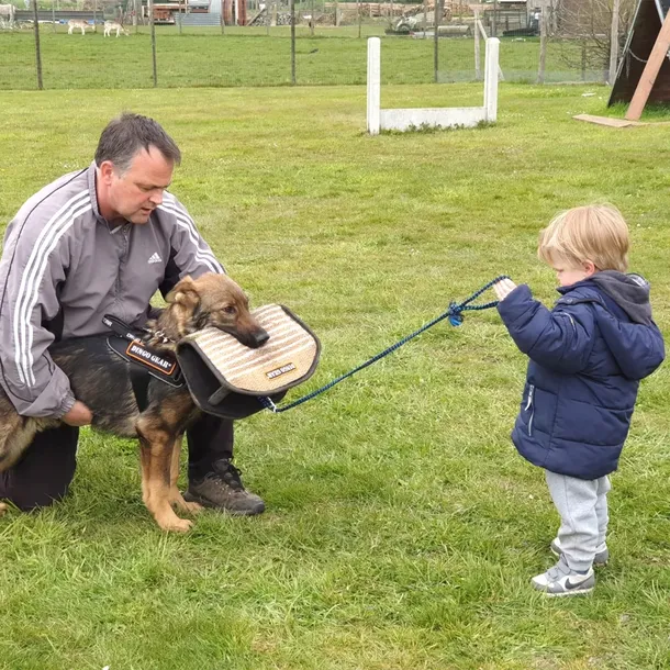 klin-z-juty-gizmo-stan-nowy-rodzaj-igp-tropienie-posluszenstwo-obrona